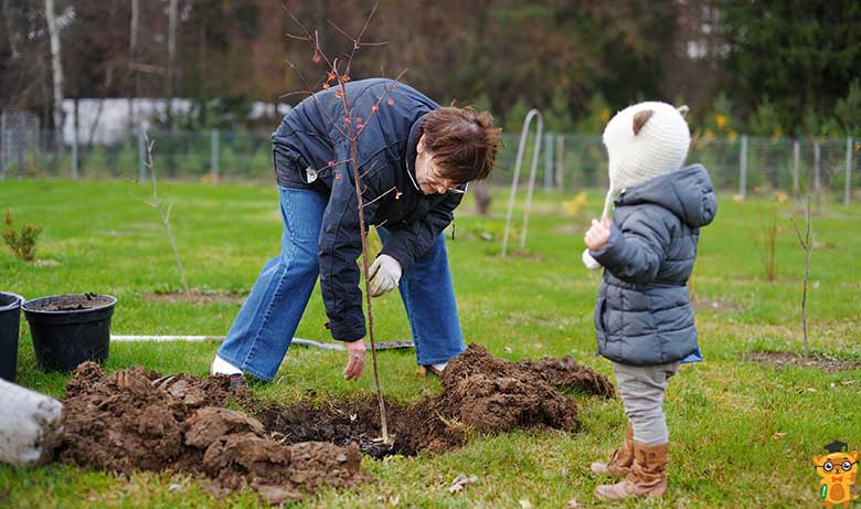 дитина садить дерево - Learning.ua